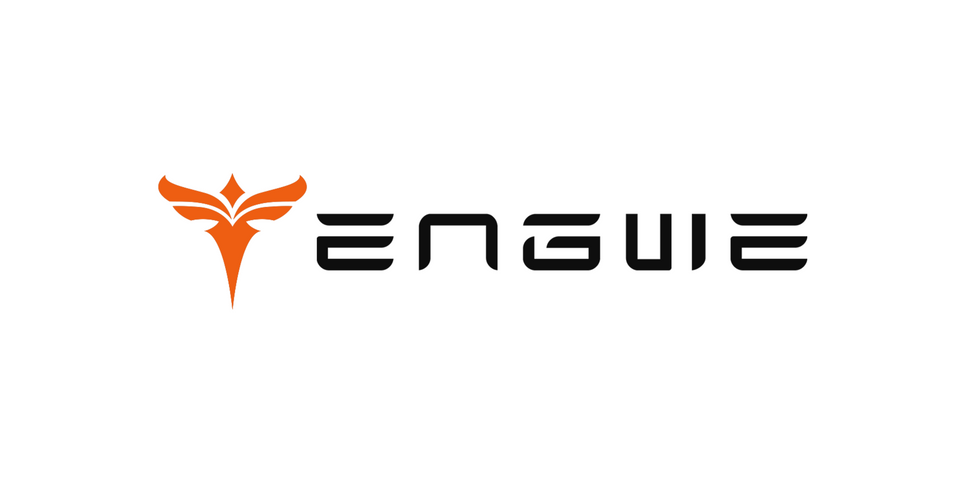 Engwe collectie