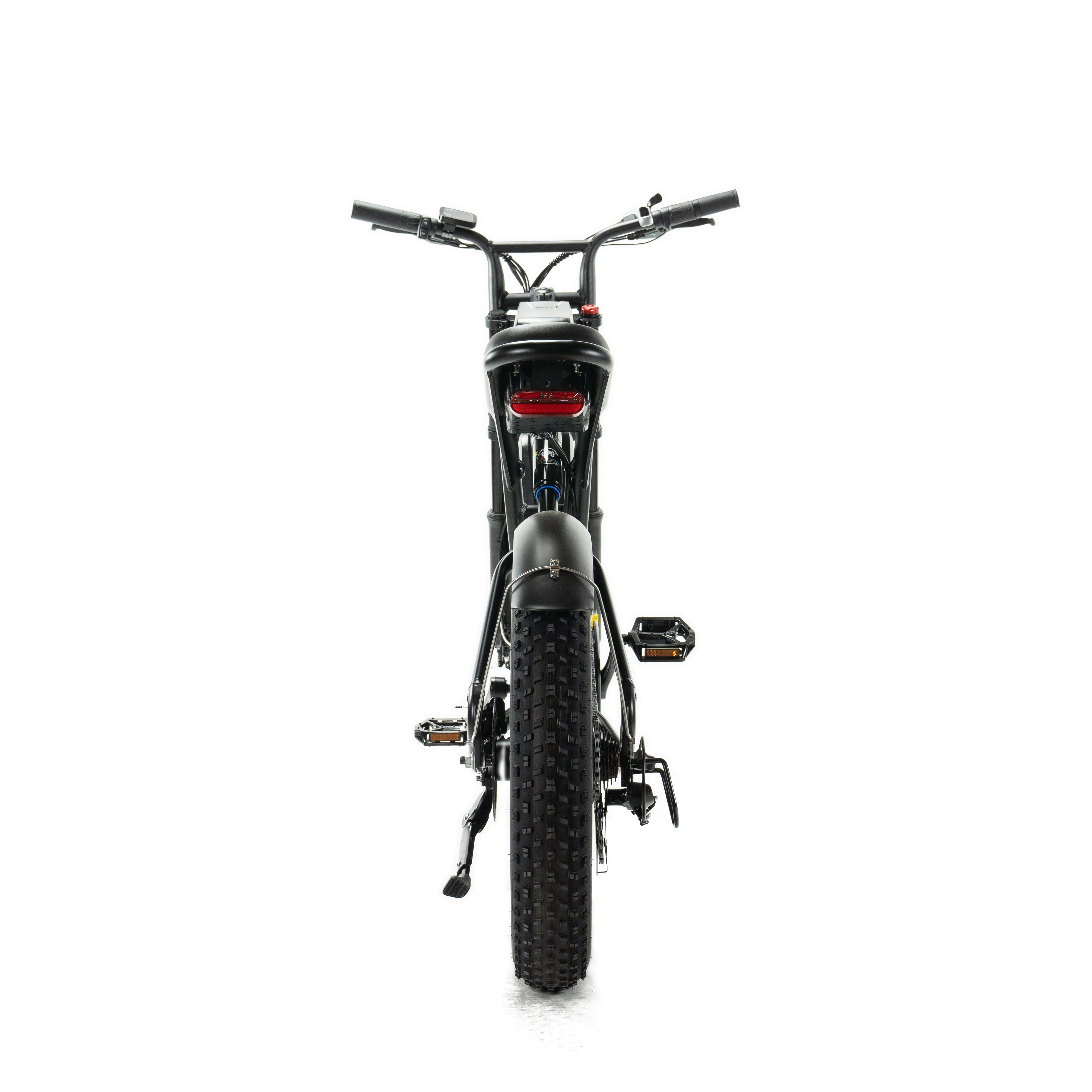ENGWE M20 - Fatbike - Dubbele Accu - Zwart
