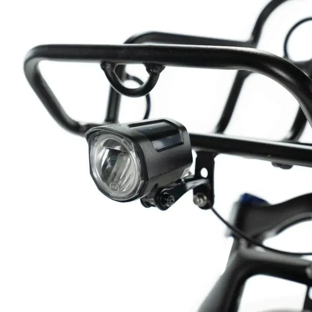 Engwe L20 - Lage Instap - Elektrische Fatbike - Met Voorrek - Groen