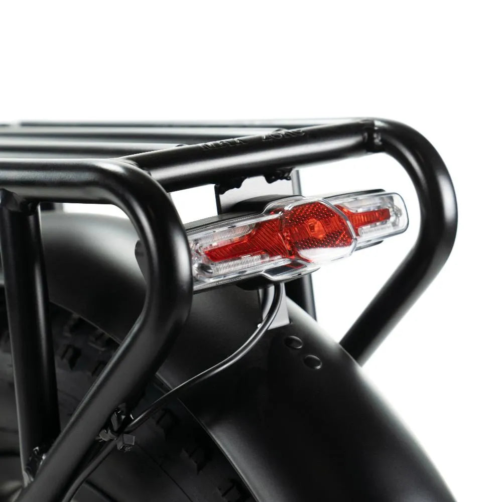 ENGWE Engine X - Fatbike - Elektrische Vouwfiets - Wit