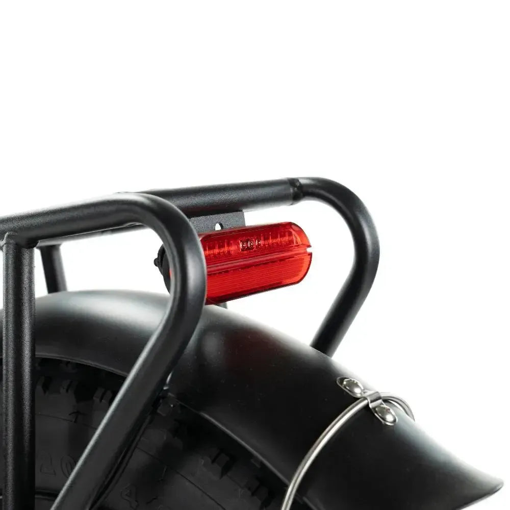 Engwe L20 - Lage Instap - Elektrische Fatbike - Met Voorrek - Groen